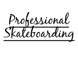Professional Skateboarding's Indoor SkatePark