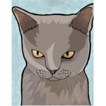 Los gatitos de Emi