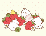 isa's favorite group