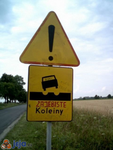 dzikie krowy ze wsciekliznom