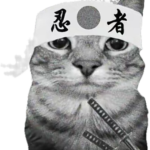 quzxai$