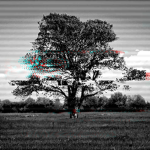 Dragon Blood Interactive