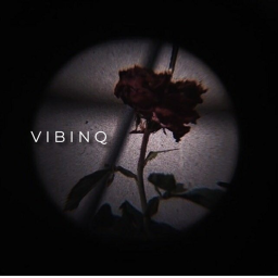 vibinq homestore