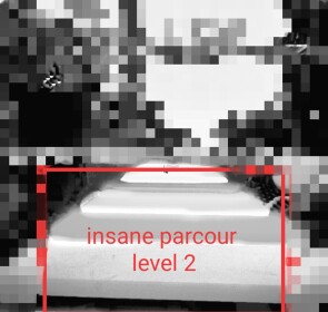 insane obby