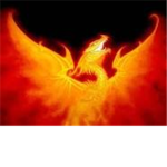 GOLDENFIRE