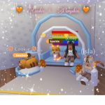 Cookie & Pumpkin