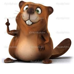 The Beavers
