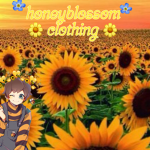 HoneyBlossom Clothing