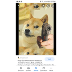 The robo doges