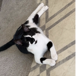 KatSSsSQUAD