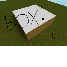 Box!