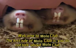 Mole club real