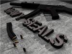 The Robloxian Navy Seals (12th Regiment)