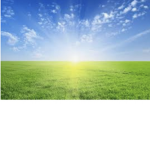 Sunshine.123