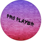 Банда Pro Player