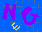 NGO elites
