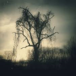 Sorrow363894 YT Offical Group