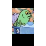 Crystal squid
