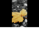 Experiment:)