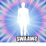 Swag Havers