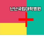 난난국립병원