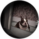 Bathtub Boxie