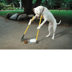 poop...