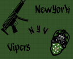 NYV (Bronx)