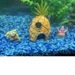 SpongeBob is the Coolest on earth