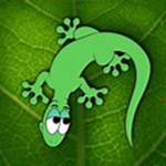 Gecko Hub