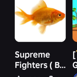 supreme fighters ( DISCONTINUED )