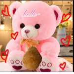 Sweet teddy holding nugget