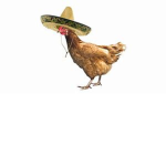 THE EPIC CHIKEN FANS
