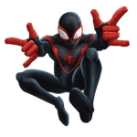 Black widow gymnastics