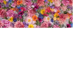 Flower place