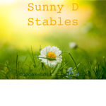 Sunny D stables