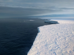 Antarctican fellas