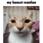 *-pixidxst-*