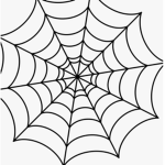 Spider Creates