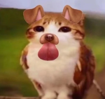 NyxUGC