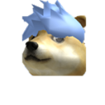 The Hairy Doge's