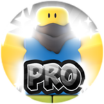 25 wins - Pro