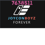 Joy Con Boyz