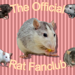 The Official Rat Fanclub