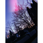 Moonthetune