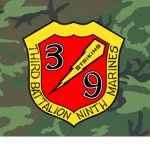 3rd Battalion 9th Marines 3rd Marine division