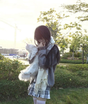 (花見) Hanami Haven!