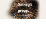 Sid's group