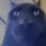 NombreAZ98