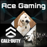 Ace Gamingツ